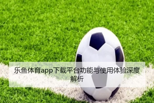 乐鱼体育app下载平台功能与使用体验深度解析